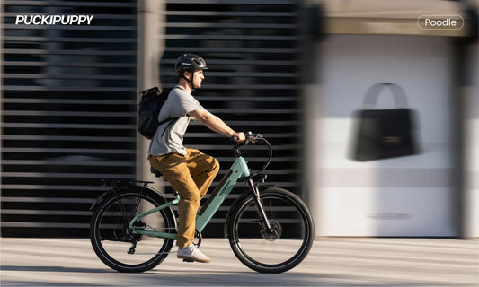 Just Launched | The 960W Commuting Ace: PuckiPuppy Poodle E-Bike