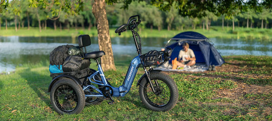 Best Electric Tricycle for Adults in 2025: Which is Your Perfect Match?