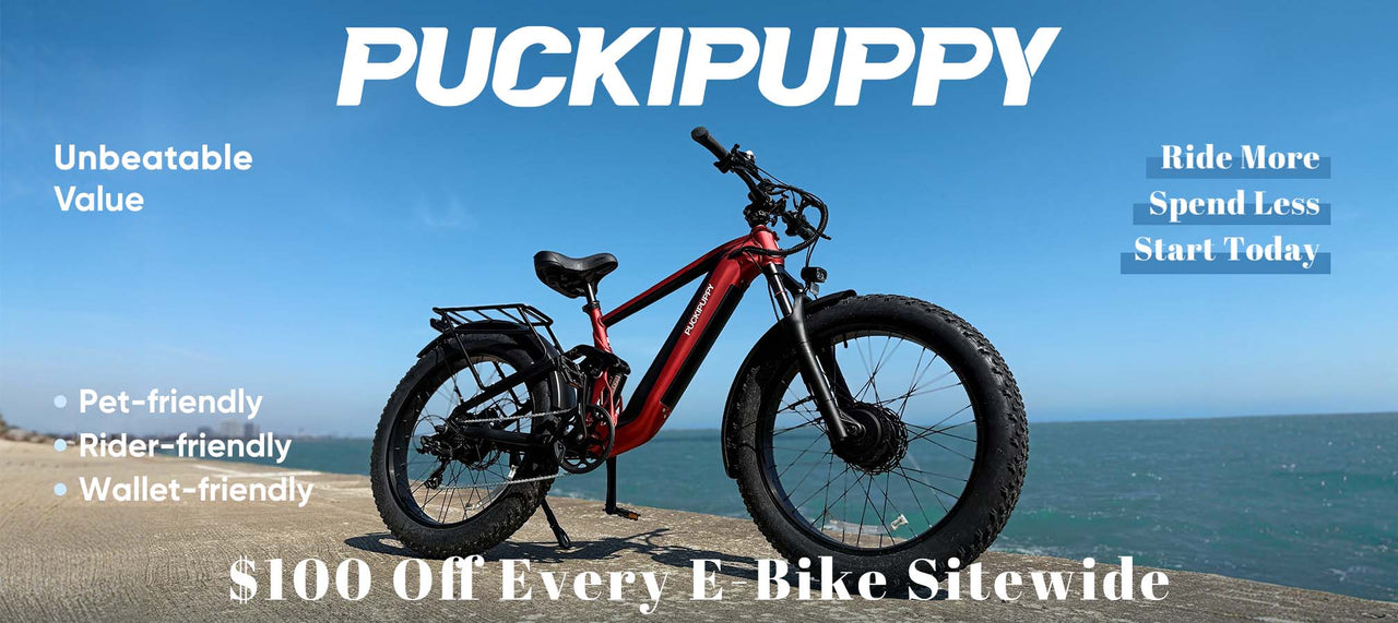 Puckipuppy most popular electric bike for adults for sale
