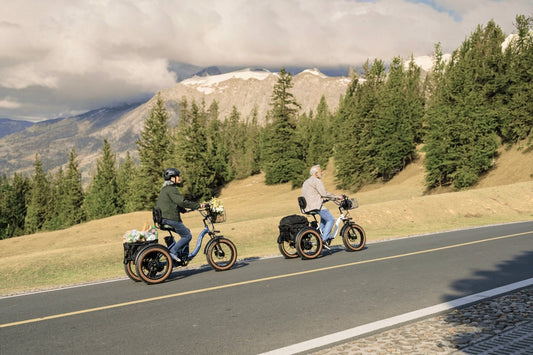 PUCKIPUPPY Alaskan - best long distance electric bike