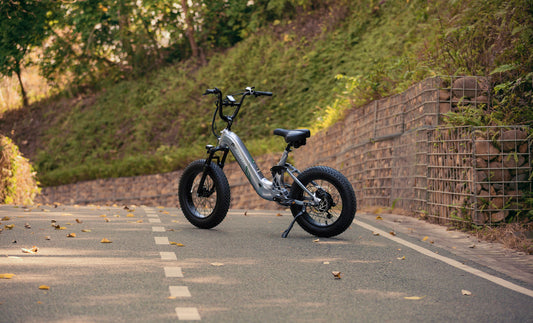 Puckipuppy - best electric bike for adults