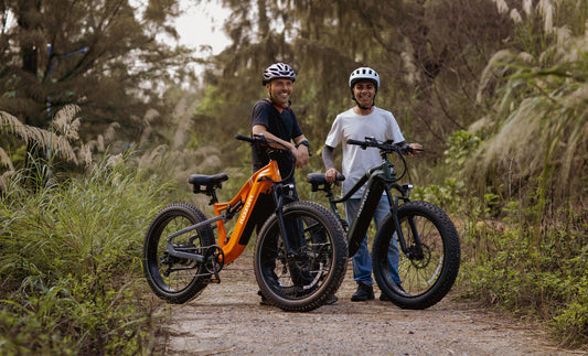 Puckipuppy - best electric bike for adults