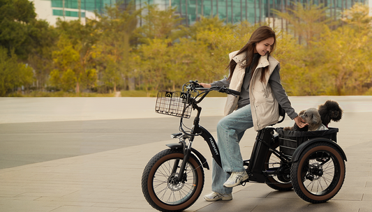 PUCKIPUPPY Alaskan - folding electric tricycle