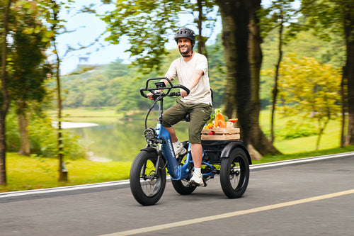 E-Trike
