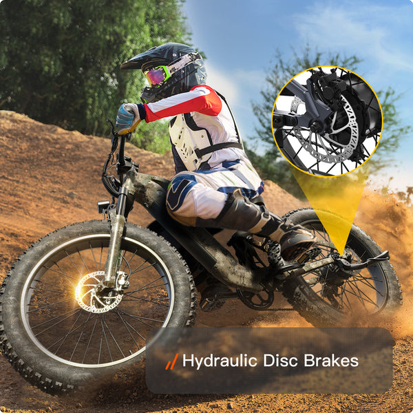Boxer Ebike