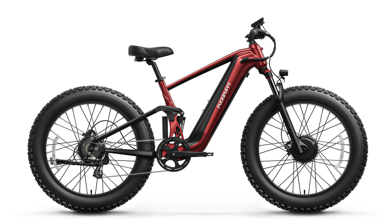 GoldenR Pro Ebike