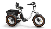 Alaskan Electric Tricycle