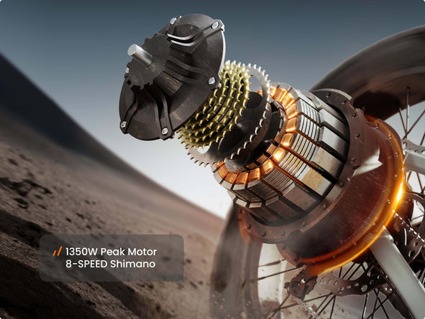 Labrador Pro EbikeMetallic Gray