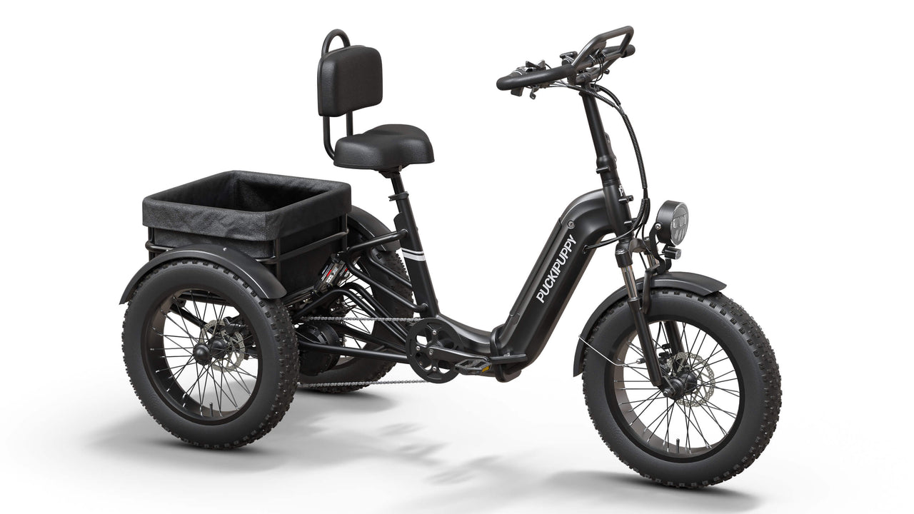 Rottweiler Electric Tricycle