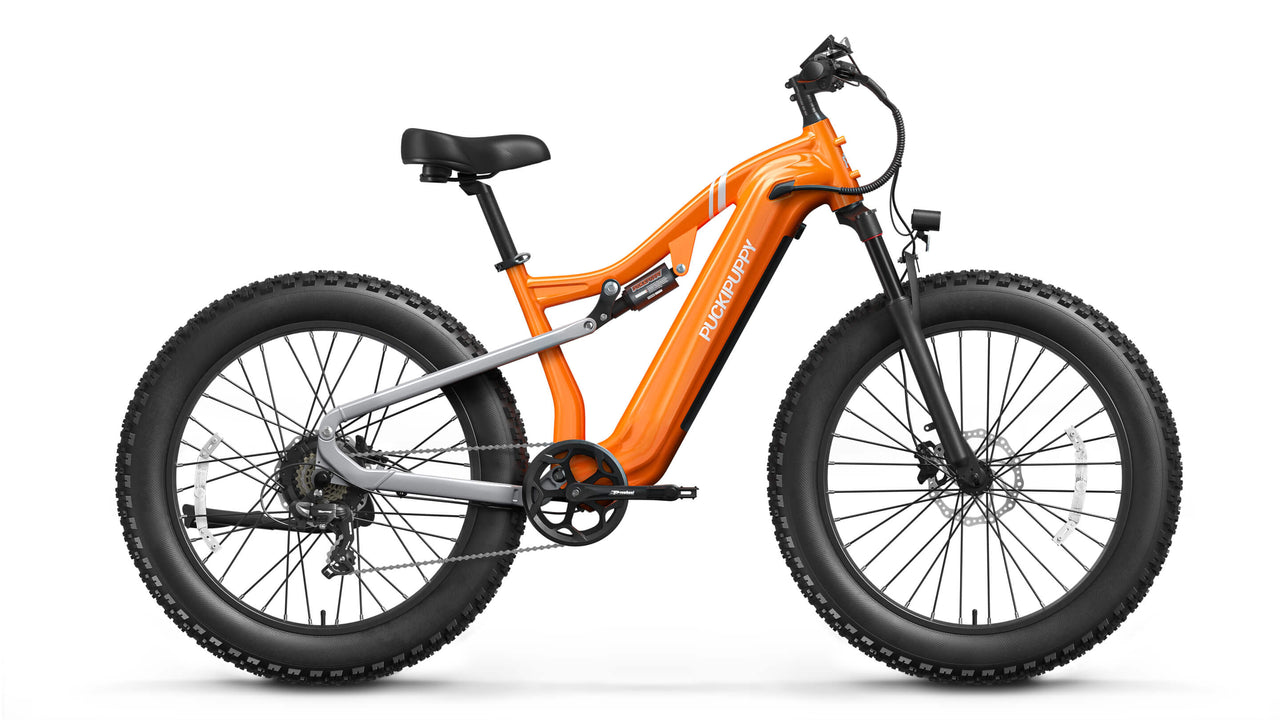 Labrador Ebike