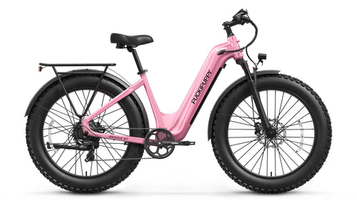 Beagle 2 ST Ebike