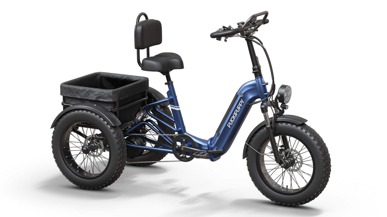 Rottweiler Electric Tricycle