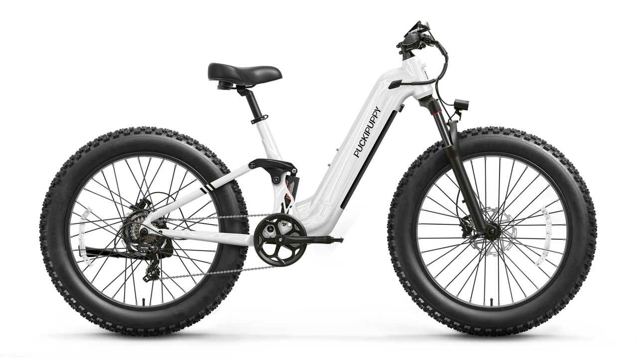 Boxer ST Ebike