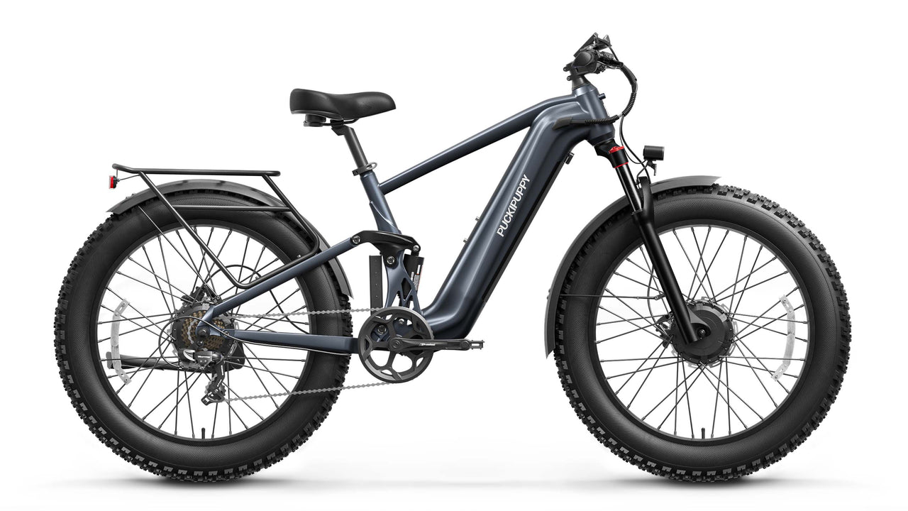 GoldenR Ebike