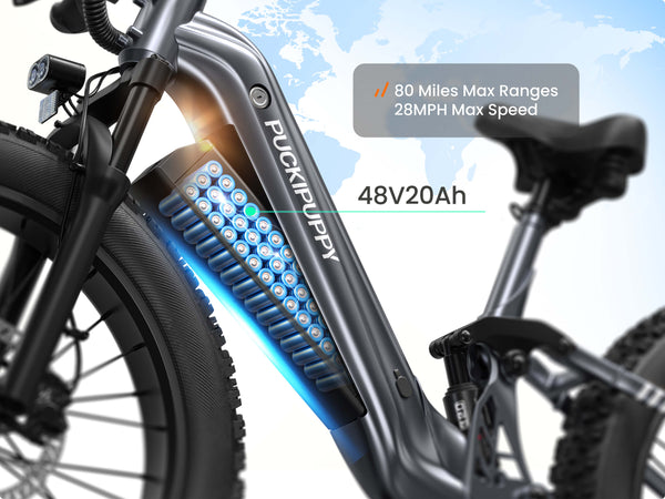 Boxer ST EbikeMetallic Gray