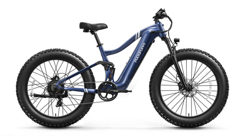Boxer Ebike - Grey Blue