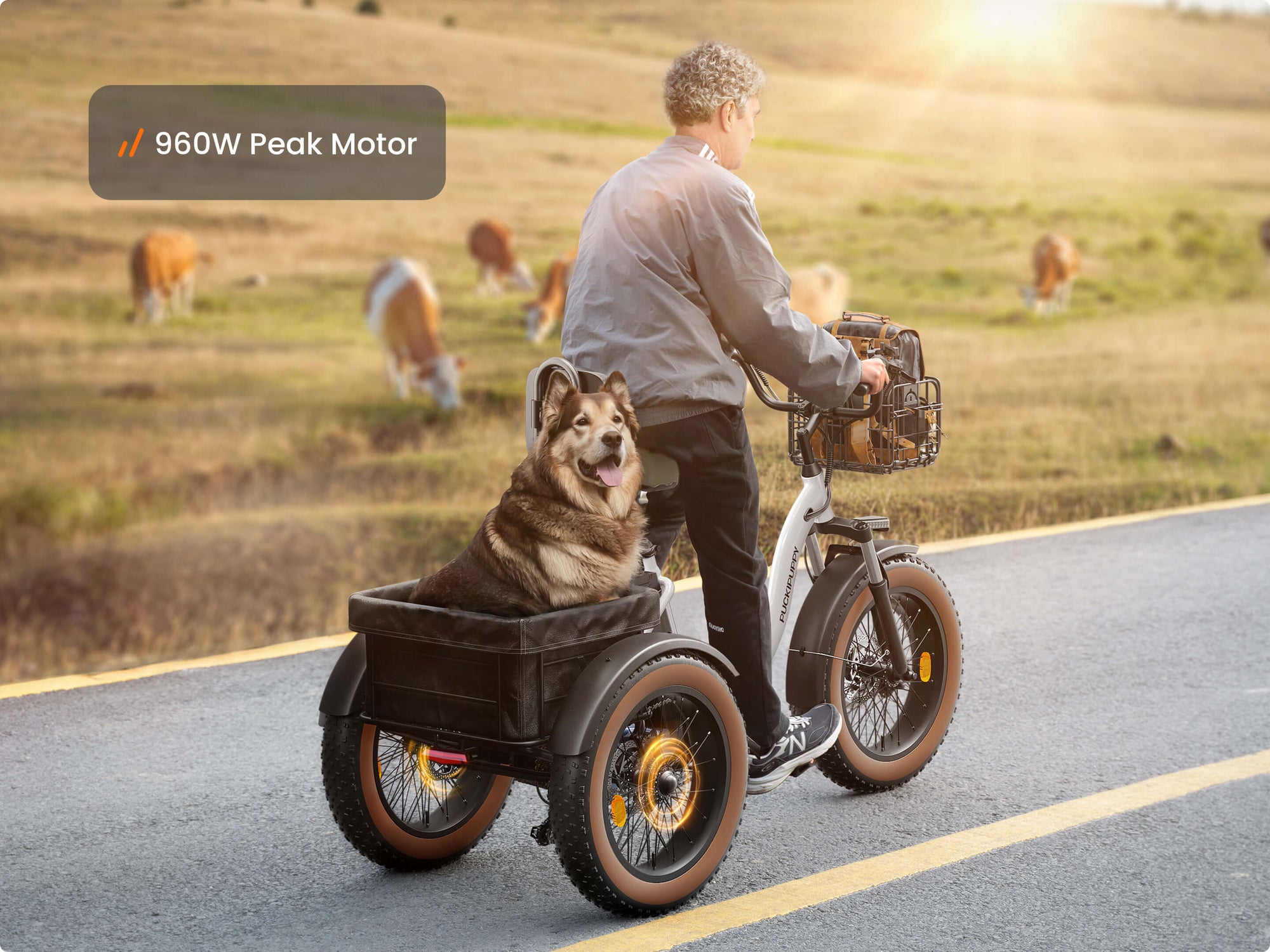 Alaskan Electric TricycleWhite