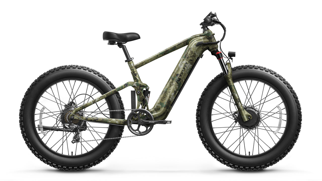 GoldenR Ebike