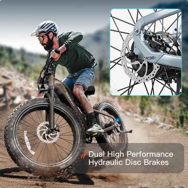 Labrador Pro EbikePlating Gray