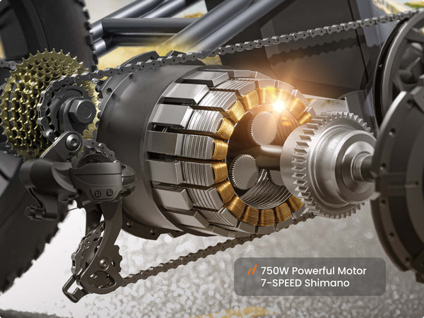 Husky Plus Electric TricycleGray