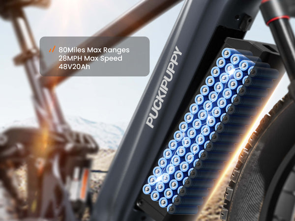 GoldenR Pro EbikeGray