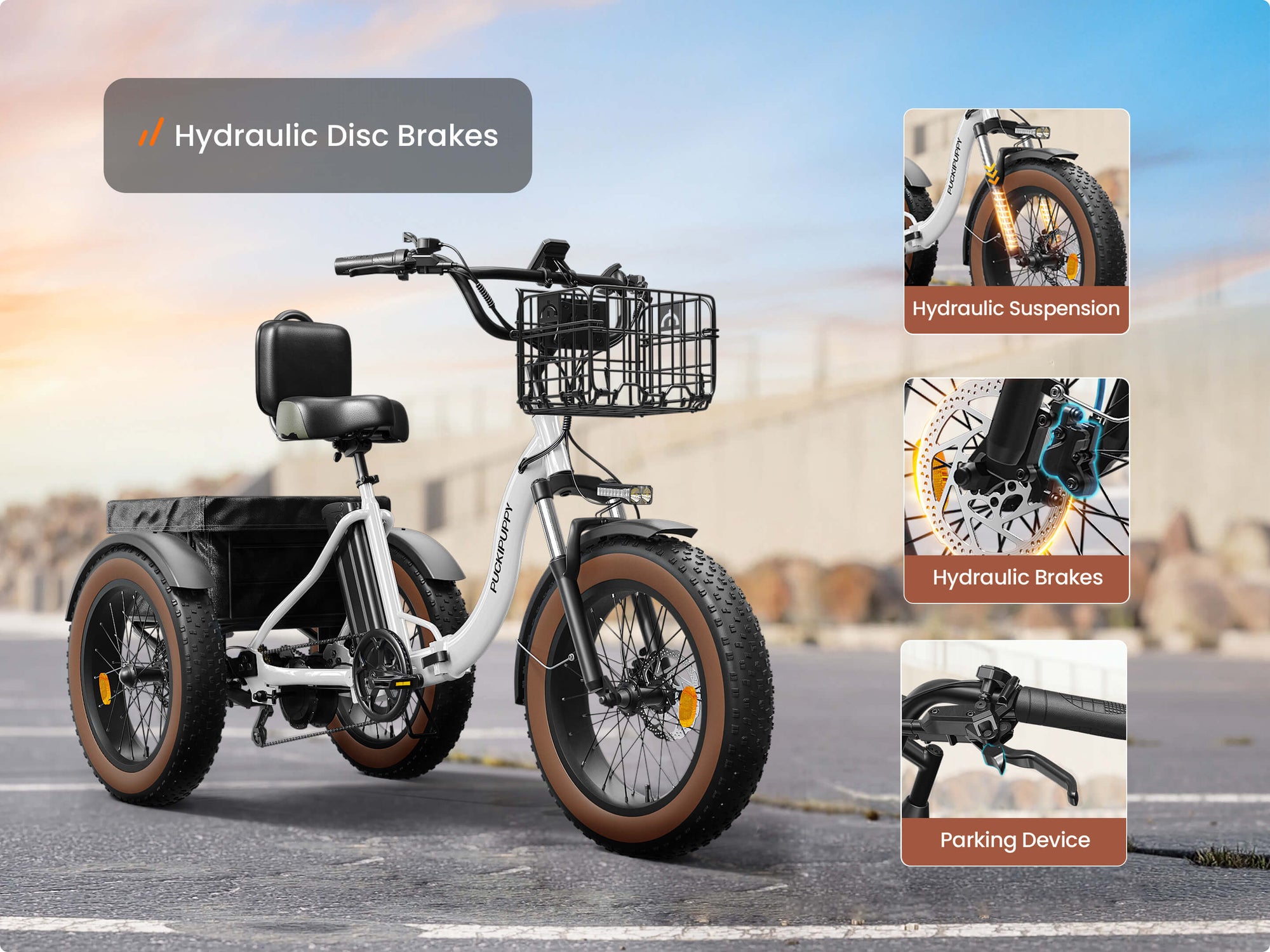 Alaskan Electric TricycleWhite