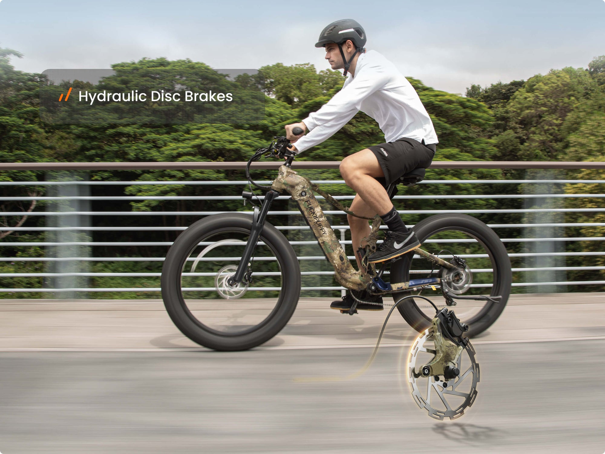 Boxer EbikeForest Camouflage