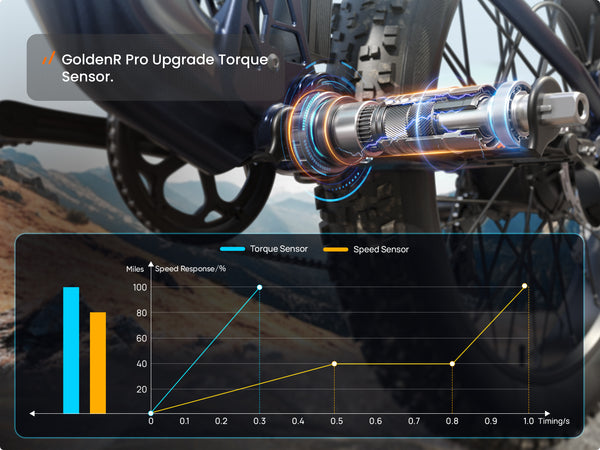 GoldenR Pro EbikeGray