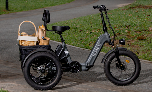PUCKIPUPPY Husky - foldable electric trike for adults