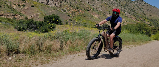 Puckipuppy UL-Certified Electric Bikes Buying Guide: Find the Right Model for Your Ride