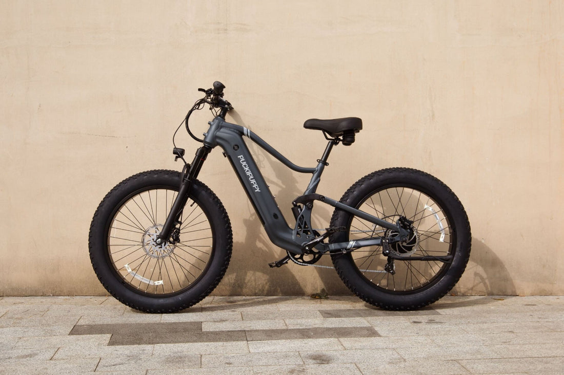 Puckipuppy - best ebike brands