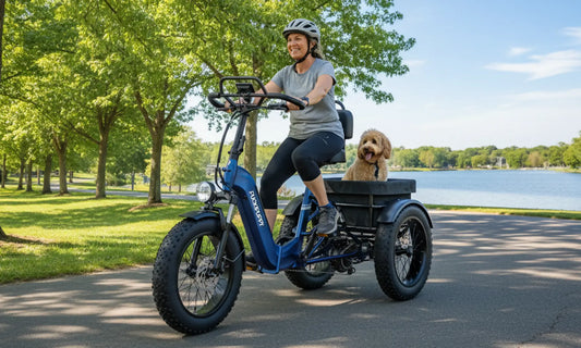 From Campsites to Community Streets: The Rottweiler Electric Trike Redefines “Effortless Travel”