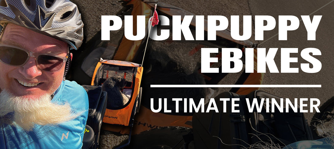 $300 Voucher Awarded! First Winners Revealed—Could You Be Next?