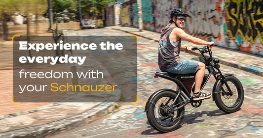 Experience the everyday freedom with your Schnauzer