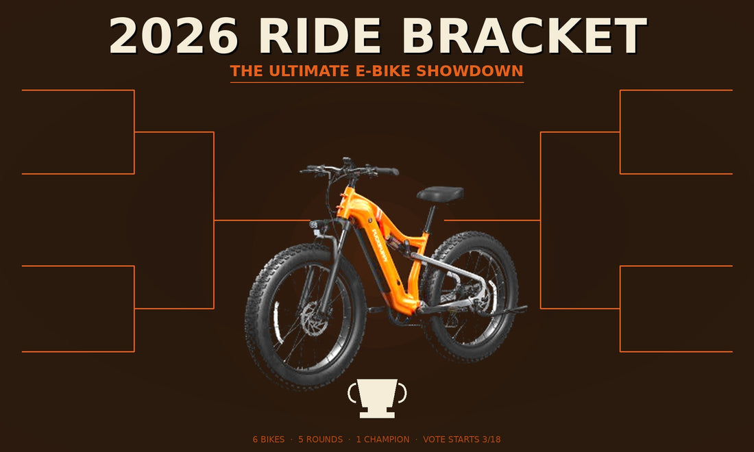 Ultimate E-Bike
