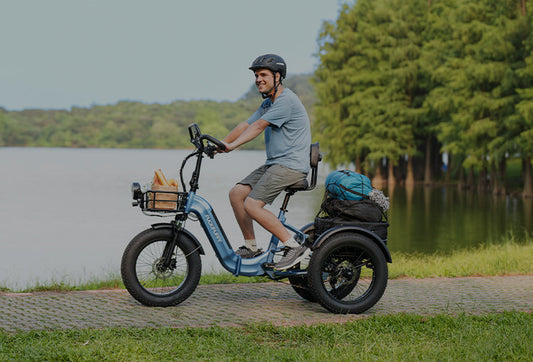 A folding electric bike or a folding tricycle—which is better suited for you?