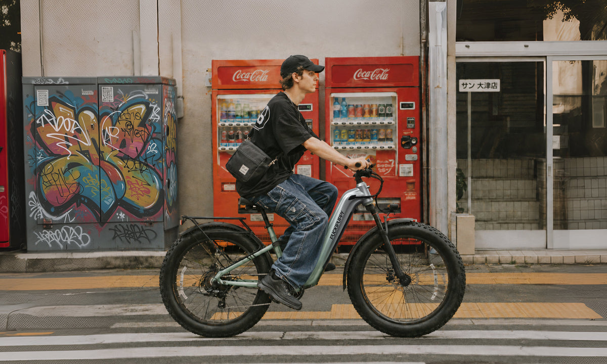 New Product Recommendation: The Labrador Pro ST—a fat-tire, step-through electric bike.