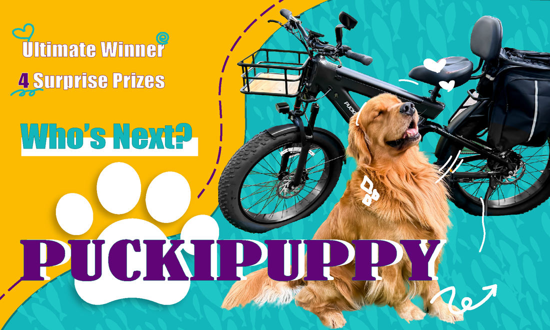 Four Puckipuppy pet ride contest winners sharing real rider stories and $900 in prizes