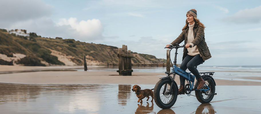New Year, New Ride: Puckipuppy New Year Ebike and E-Trike Deal
