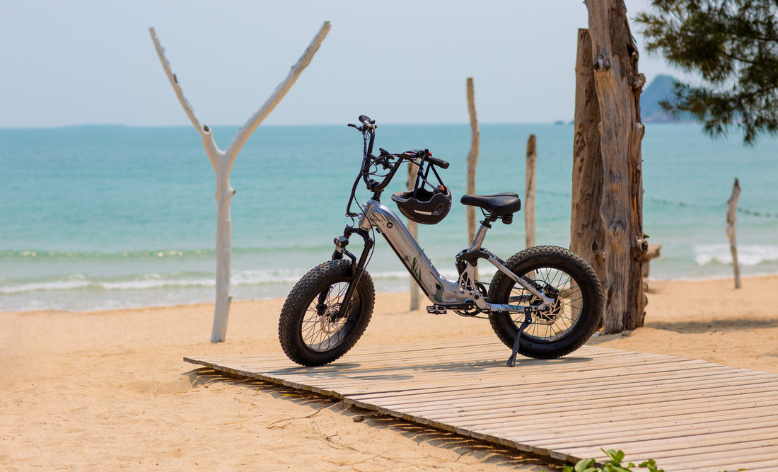 Puckipuppy - best electric bike for adults