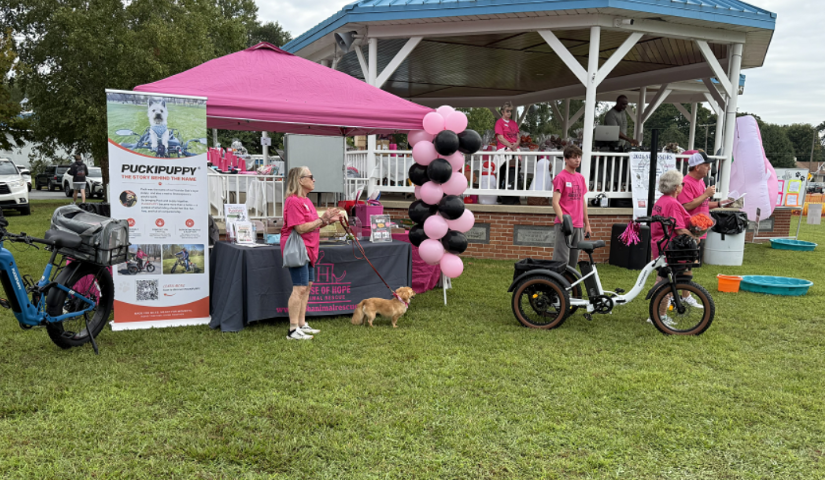 Starting With One Small Step: Puckipuppy and Pet Owners Supporting Local Animal Rescue Together