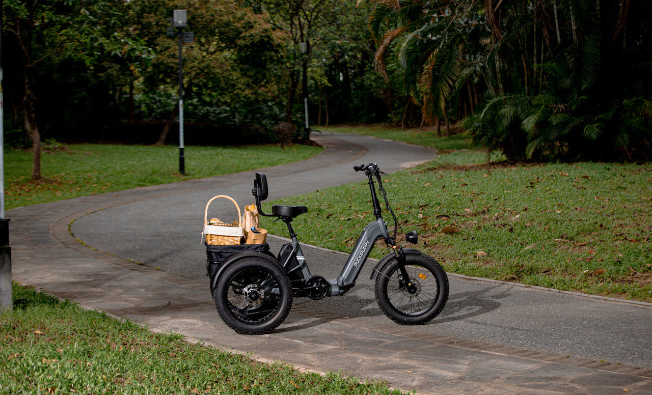 PUCKIPUPPY Husky - long range electric bike