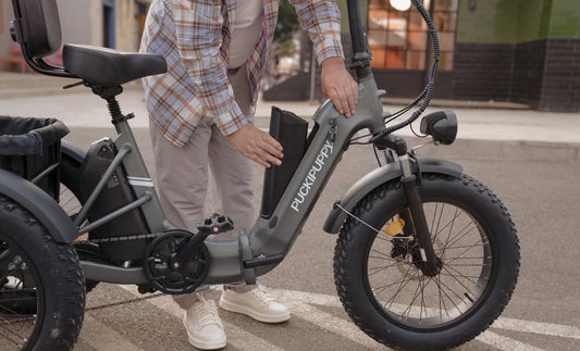 PUCKIPUPPY Husky Plus - electric trike for adults