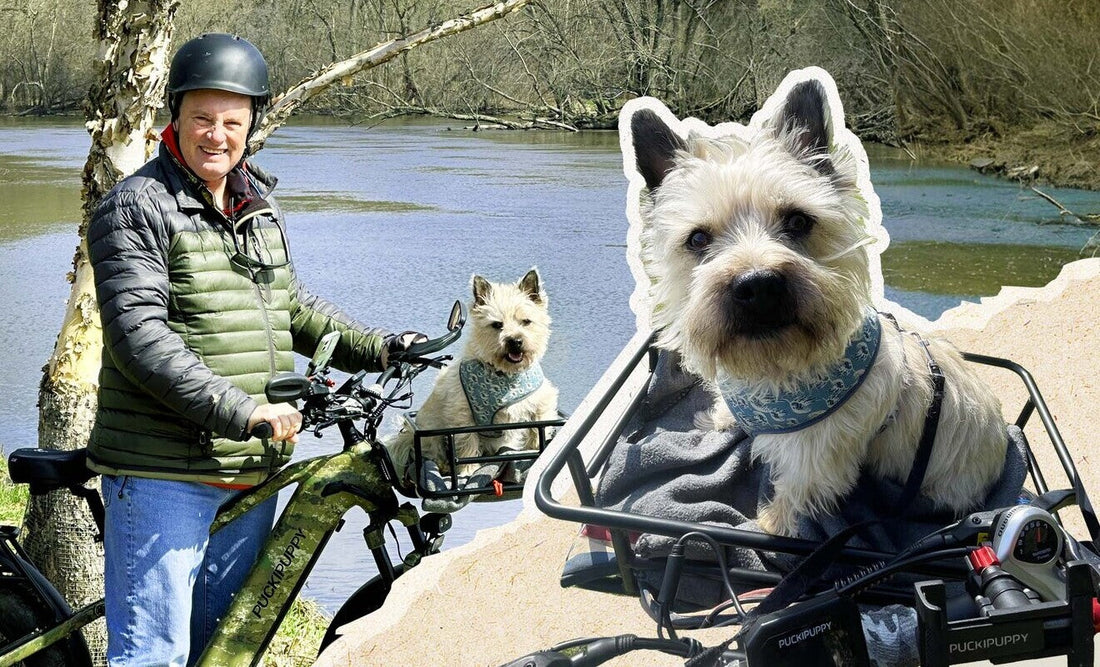 Pet riding with a Puckipuppy e-bike for the Pawsome Ride photo and video contest
