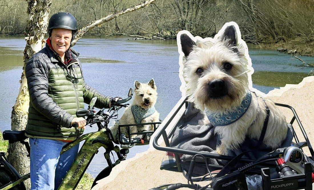 How to Carry a Dog on an E-Bike or E-Trike Safely