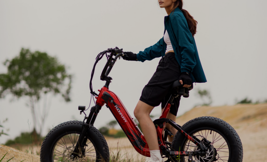 Puckipuppy s All Terrain Fat Tire Electric Bike for Hunting