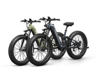 Boxer ST Ebike+Boxer ST Ebike