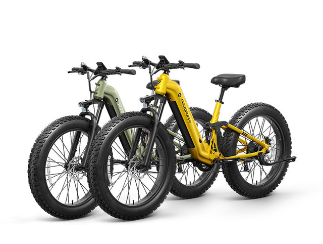 Boxer ST Ebike+Boxer ST Ebike - Green+Yellow2
