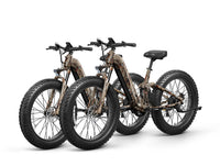 Boxer ST Ebike*2