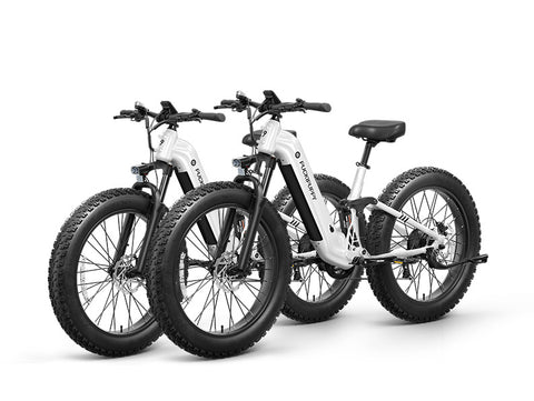 Boxer ST Ebike*2 - White+White